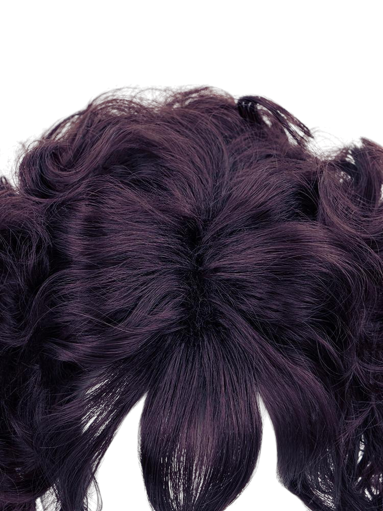 Dark Slate Gray Agott Cosplay Wig - Witch Hat Atelier (Black-Brown Large Curls) (FEVERCOS)