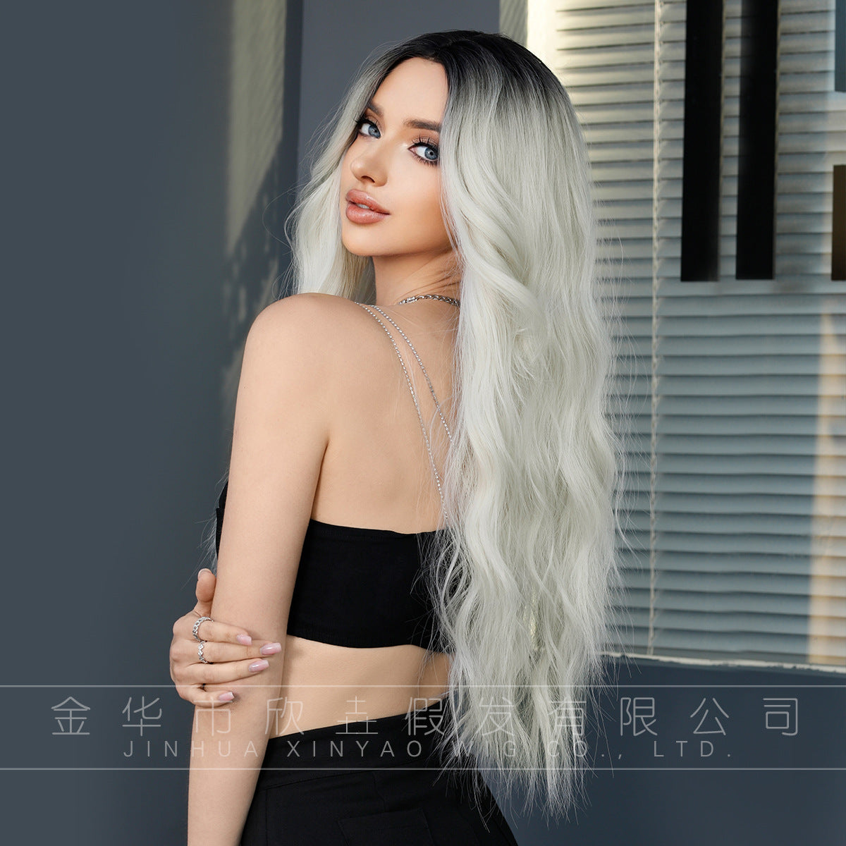 Dark Slate Gray Silver White Gradient Lace Wig - Elite Lace Fronts (Middle Part Wavy) (FEVERCOS)