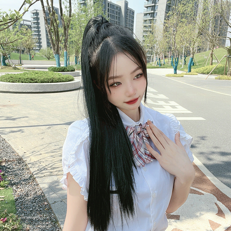 Light Gray Straight Claw Clip Ponytail - Accessory Collection (Long High Tail) (FEVERCOS) Hair Extension
