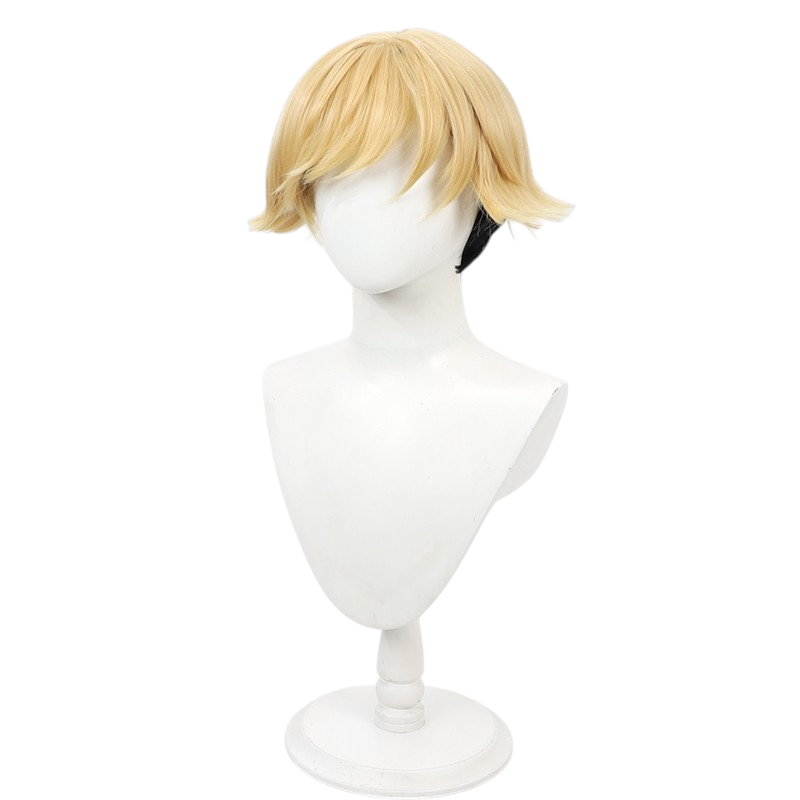 White Smoke Land Cosplay Wig - Frieren: Beyond Journey's End (Blonde Gradient Scalp) (FEVERCOS)