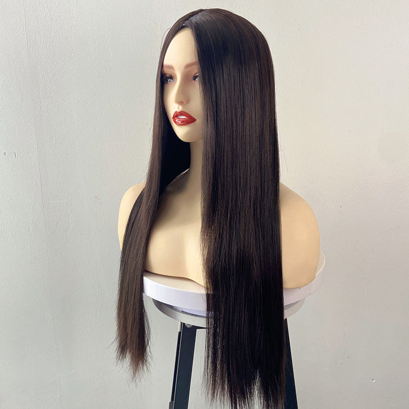 Gray Brown Long Straight Wig - Everyday Fashion (Middle Part) (FEVERCOS)