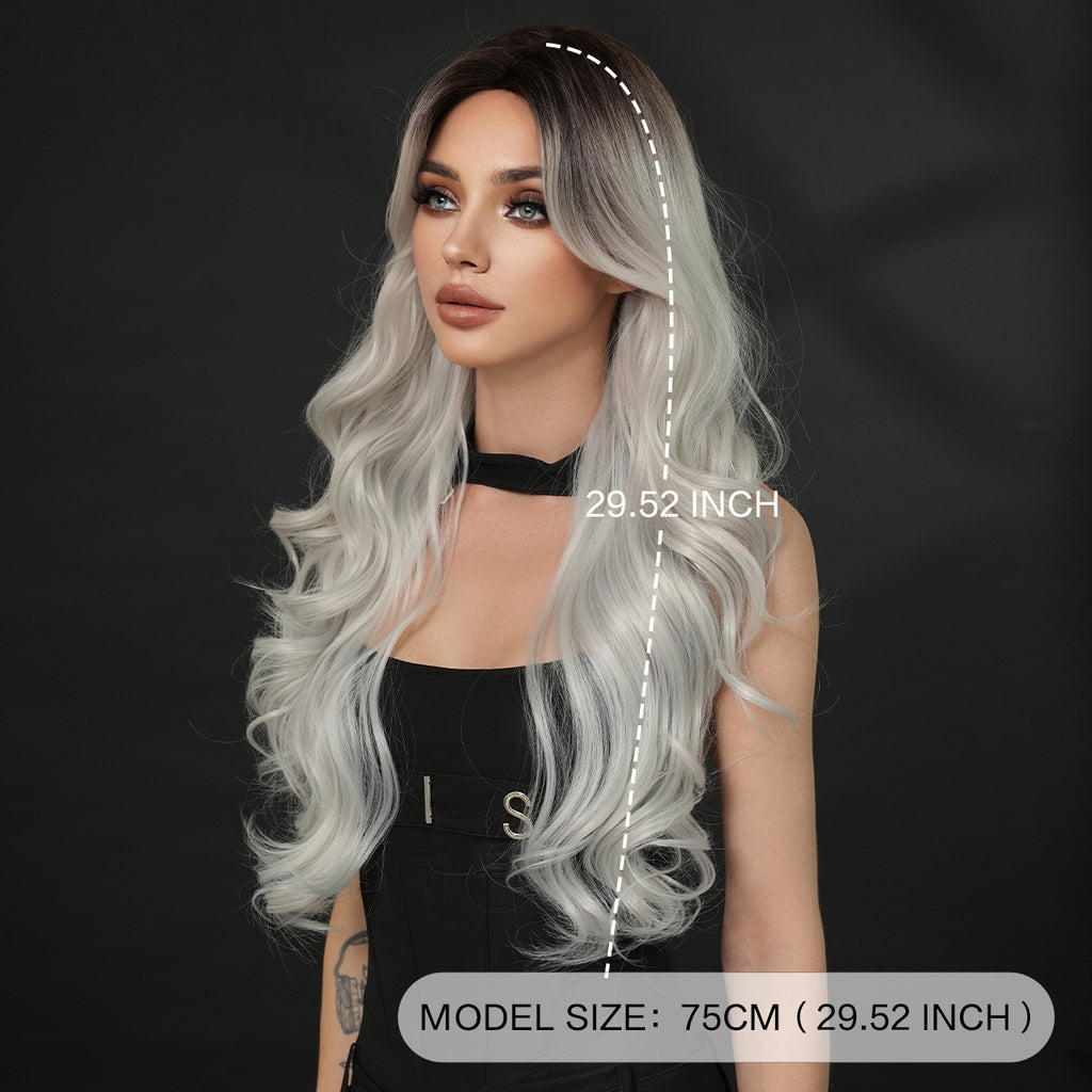 Dark Slate Gray Silver Grey Wavy Wig - Subculture Fashion (Gothic Curtain Bangs) (FEVERCOS)