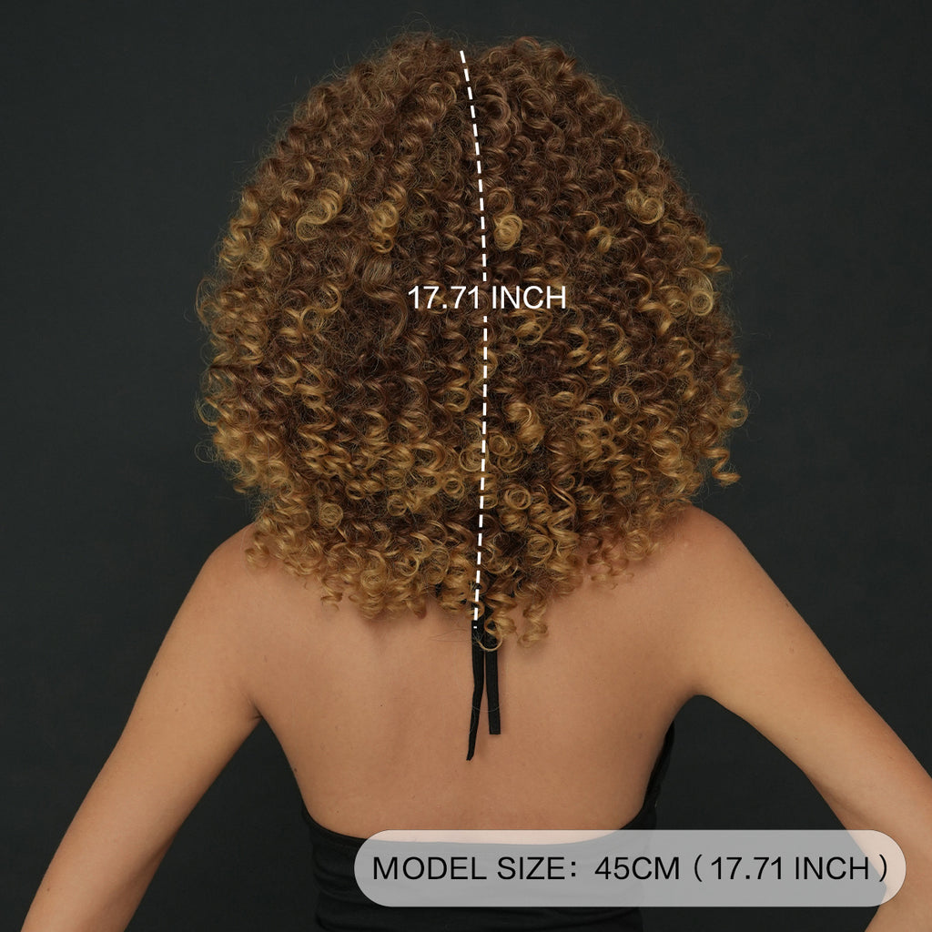 Dark Slate Gray Honey Golden Brown Spring Curl Wig - Street Fashion (Short Afro Bangs) (FEVERCOS)