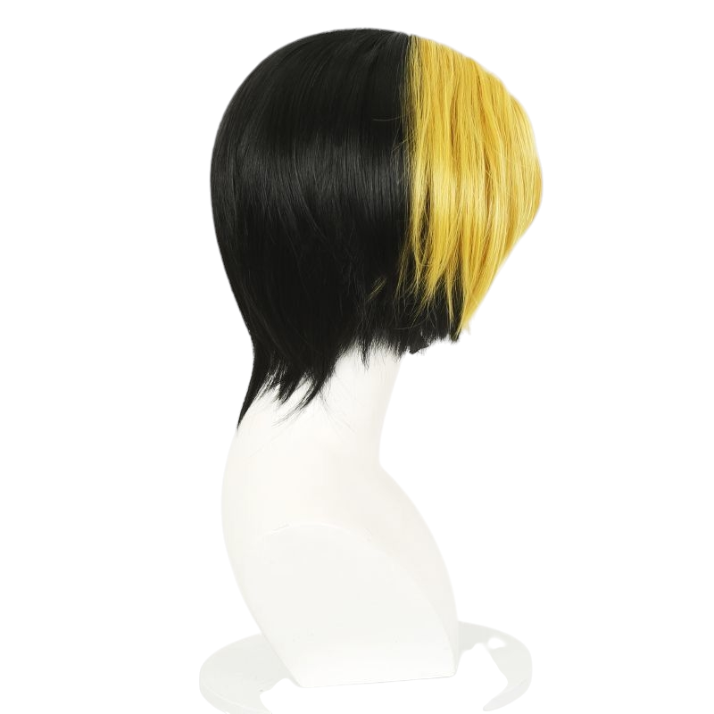 White Smoke Hikaru Shindo Cosplay Wig - Hikaru no Go (Gold and Black Spliced) (FEVERCOS)
