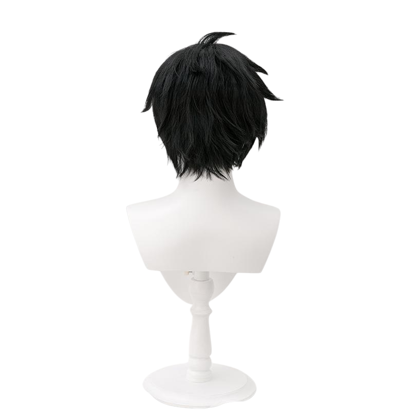 White Smoke Prince Zuko Cosplay Wig - Avatar: The Last Airbender (Black Short Multipurpose) (FEVERCOS)