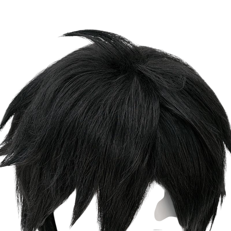 Black Prince Zuko Cosplay Wig - Avatar: The Last Airbender (Black Short Multipurpose) (FEVERCOS)
