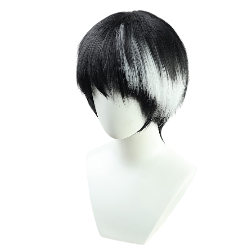 White Smoke Taiga Hanaya Cosplay Wig - Kamen Rider Ex-Aid (Black/White Streak) (FEVERCOS)