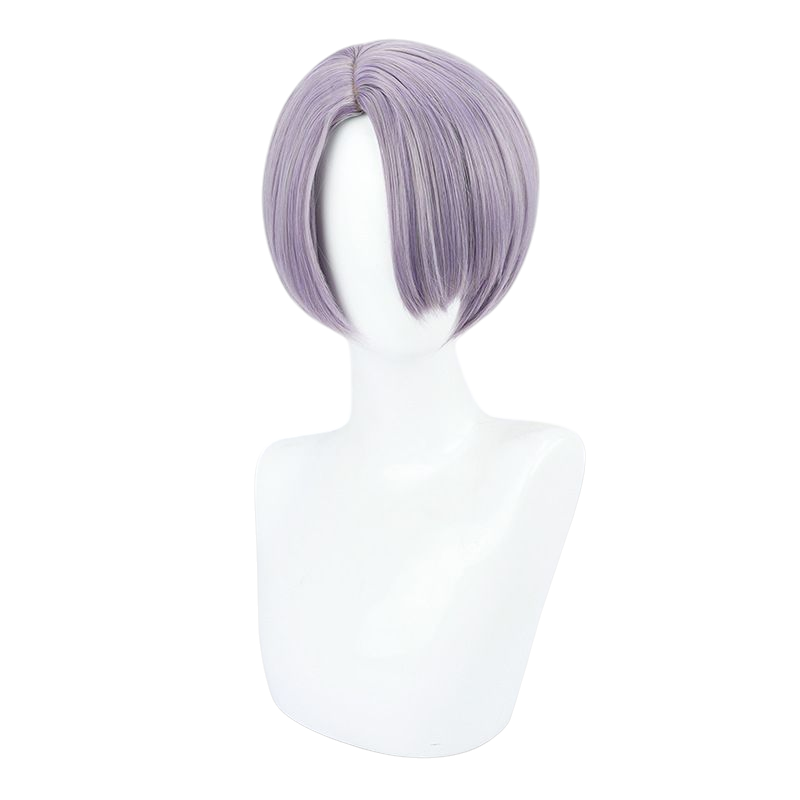 NIJISANJI Tsukasa Fujishiro Cosplay Wig - Gray Hair for Student Council