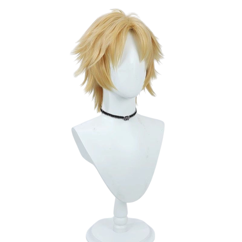 Final Fantasy X Tidus Cosplay Wig - Teased Top for Male Protagonist