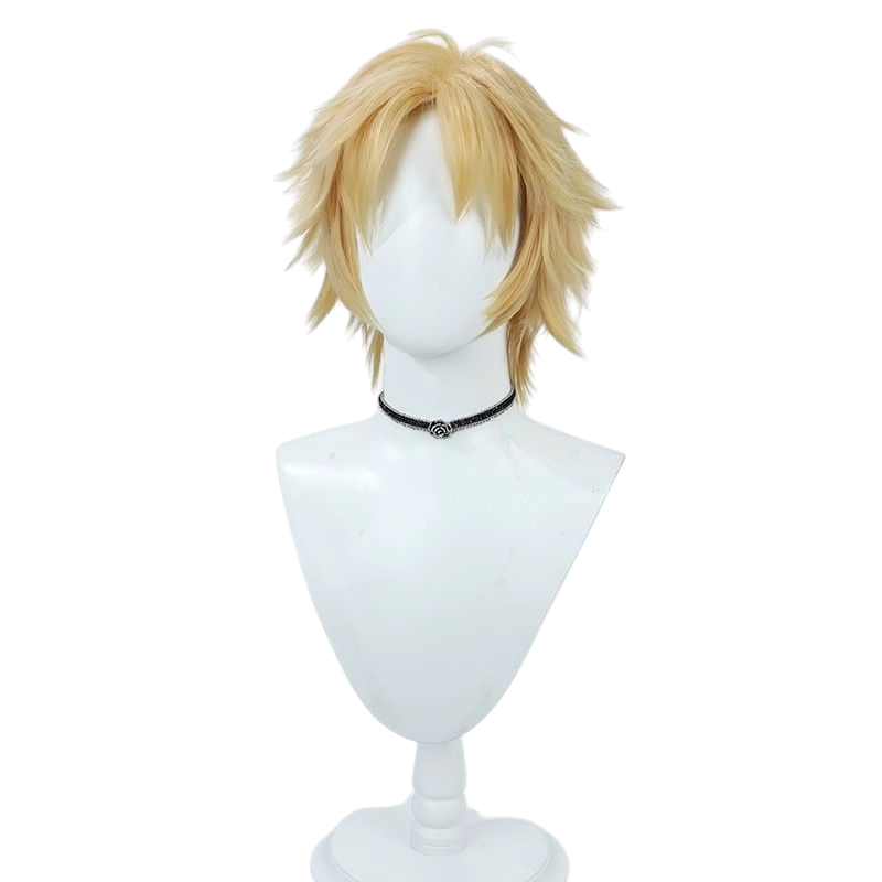 Final Fantasy X Tidus Cosplay Wig - Teased Top for Male Protagonist