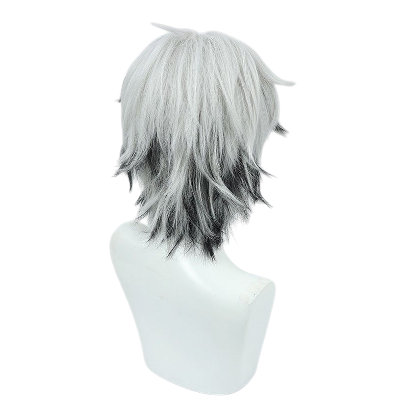Honkai Impact 3rd Qian Jie Cosplay Wig - Silver Highlighted Long Hair for Thirteenth Flame