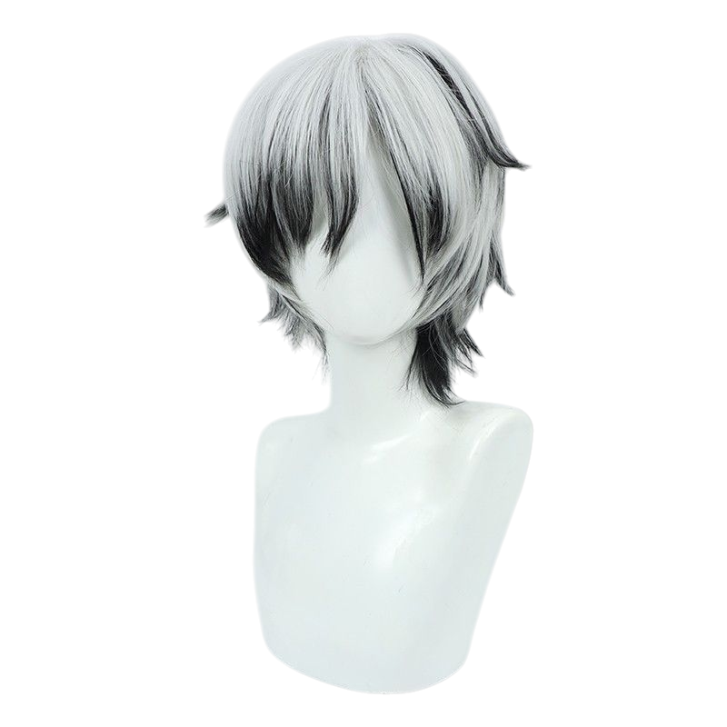 Honkai Impact 3rd Qian Jie Cosplay Wig - Silver Highlighted Long Hair for Thirteenth Flame