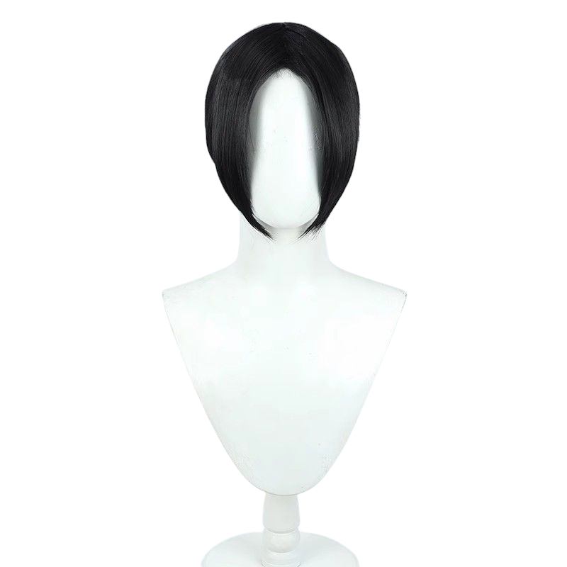 Dark Slate Gray Attack on Titan Ymir Manga Ver. Cosplay Wig (Black Low Ponytail)