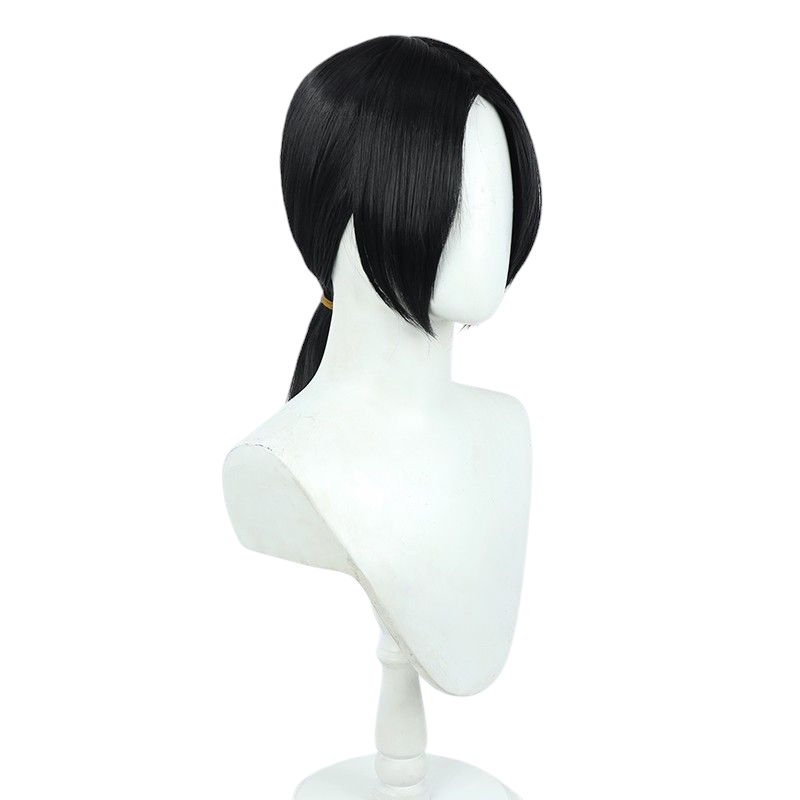 Lavender Attack on Titan Ymir Manga Ver. Cosplay Wig (Black Low Ponytail)