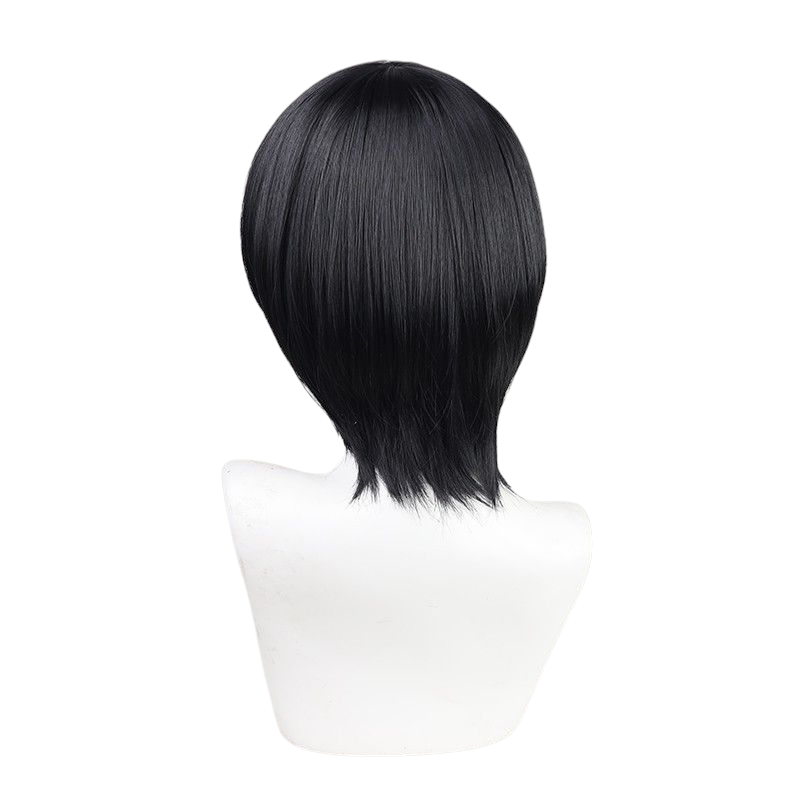 Dark Slate Gray Attack on Titan Mikasa Ackerman Final Season Short Wig (Black)
