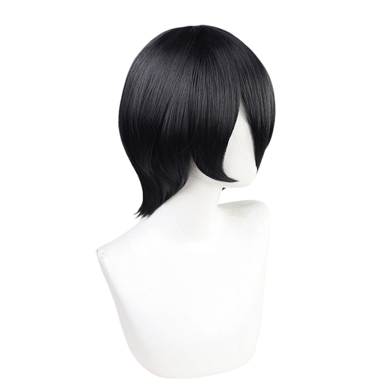 Dark Slate Gray Attack on Titan Mikasa Ackerman Final Season Short Wig (Black)