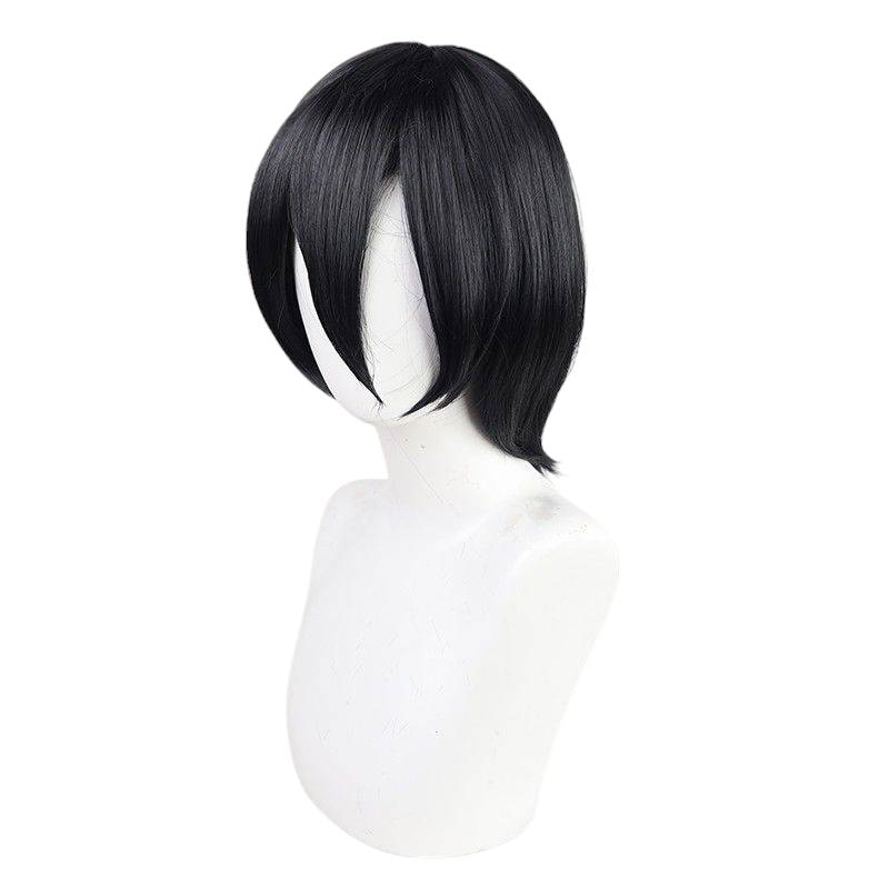 White Smoke Attack on Titan Mikasa Ackerman Final Season Short Wig (Black)