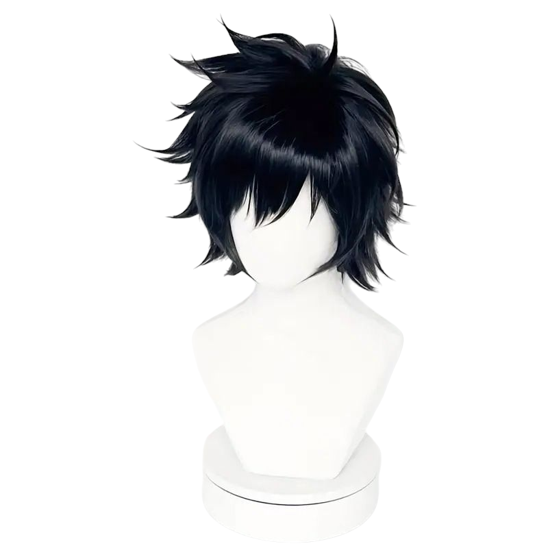 White Smoke L Lawliet Cosplay Wig | Death Note (Black Flipped)