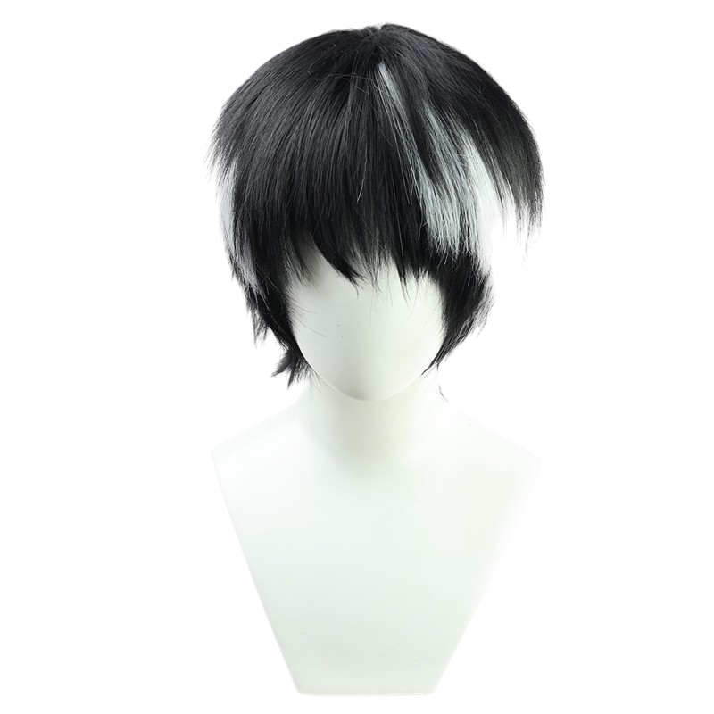 White Smoke Taiga Hanaya Cosplay Wig - Kamen Rider Ex-Aid (Black/White Streak) (FEVERCOS)